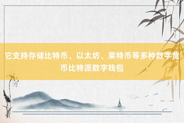 它支持存储比特币、以太坊、莱特币等多种数字货币比特派数字钱包