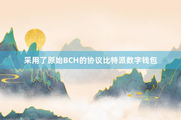 采用了原始BCH的协议比特派数字钱包