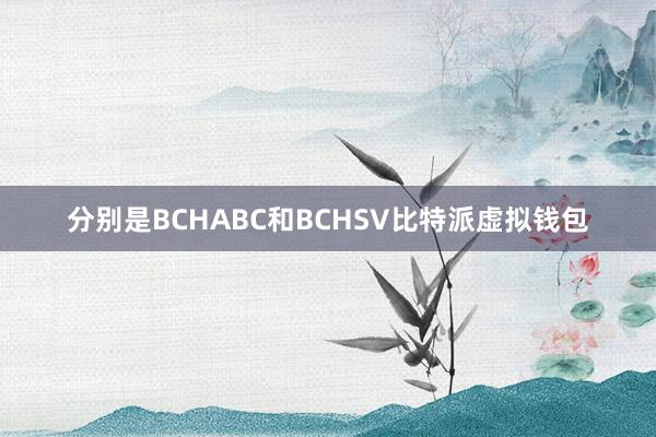 分别是BCHABC和BCHSV比特派虚拟钱包