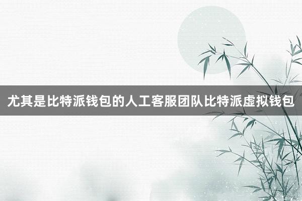 尤其是比特派钱包的人工客服团队比特派虚拟钱包