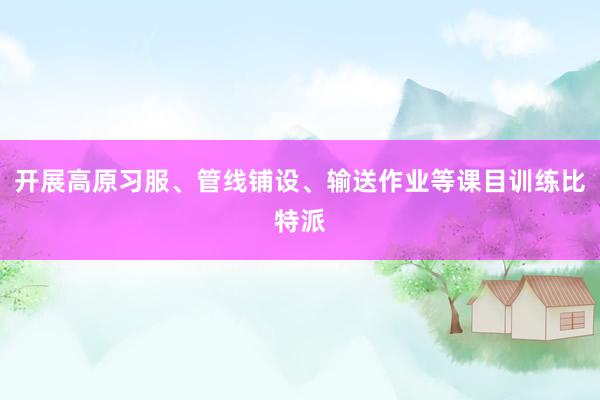 开展高原习服、管线铺设、输送作业等课目训练比特派