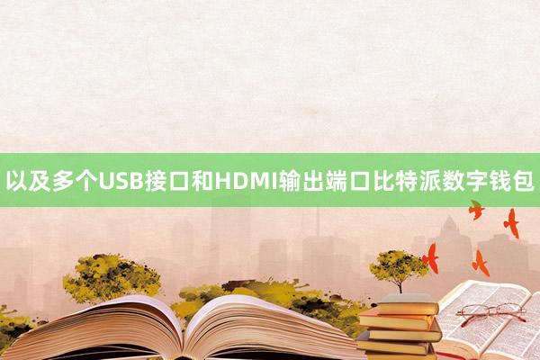 以及多个USB接口和HDMI输出端口比特派数字钱包