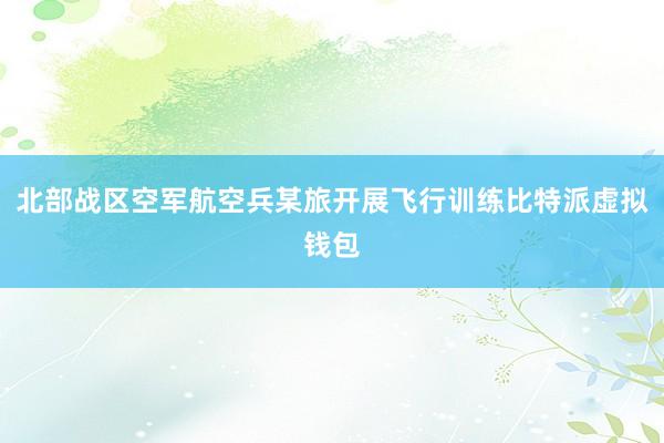 北部战区空军航空兵某旅开展飞行训练比特派虚拟钱包