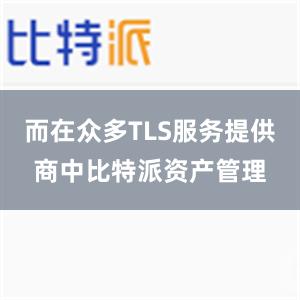 而在众多TLS服务提供商中比特派资产管理