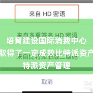 培育建设国际消费中心城市取得了一定成效比特派资产管理